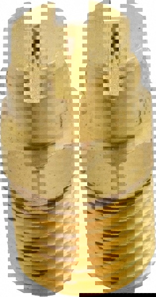 Brass Standard Fan Nozzle: 1/4